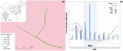 Sleet damage to branches and crowns of street camphor trees (Cinnamomum camphora) in a central China mega-city: damage statistics, modelling, and implications